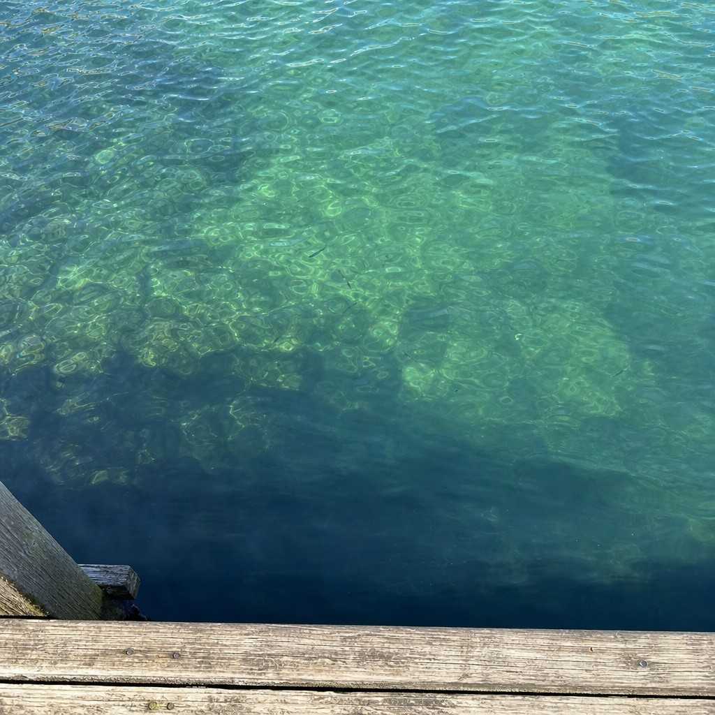Looking down from a dock edge into deep clear lake water that darkens with depth