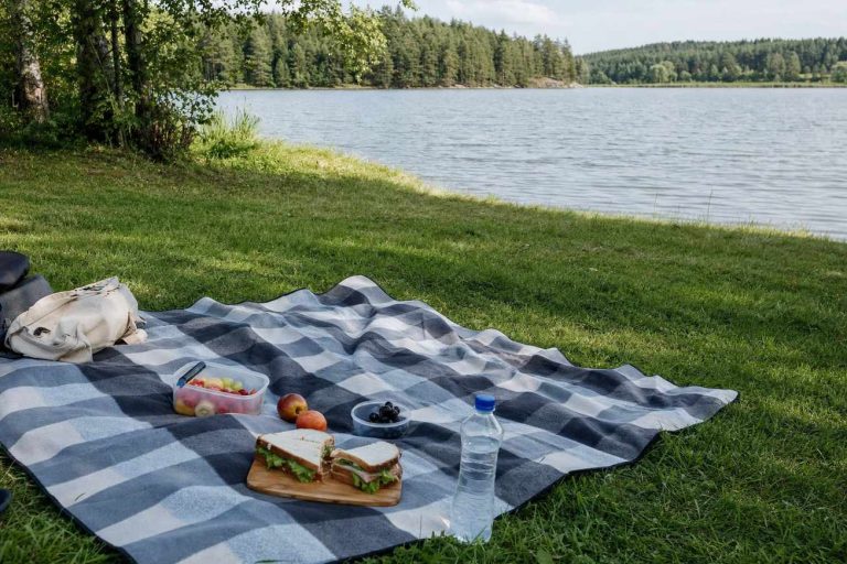 A picnic blanket on the grass by a lake with simple food laid out, no people