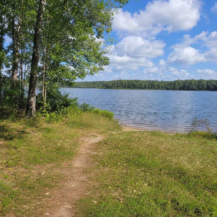 A quiet undeveloped lake shoreline with a natural bank and a faint footpath down to the water